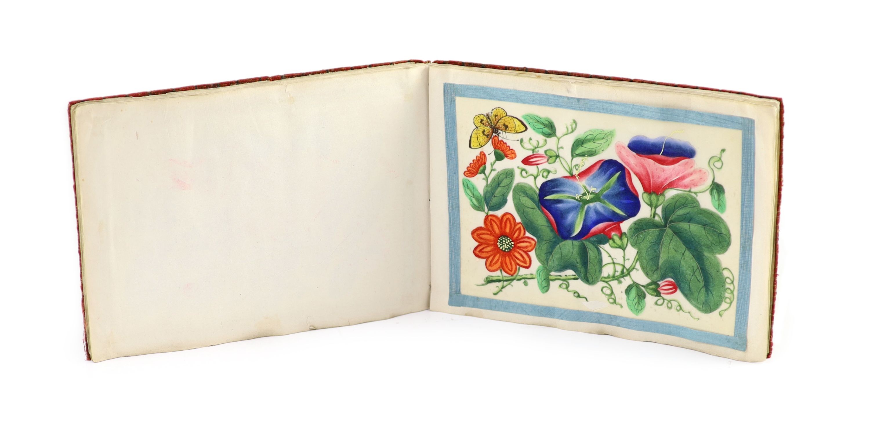 A Chinese album of twelve pith paintings of flowers and butterflies, 19th century, 17 x 24 cm